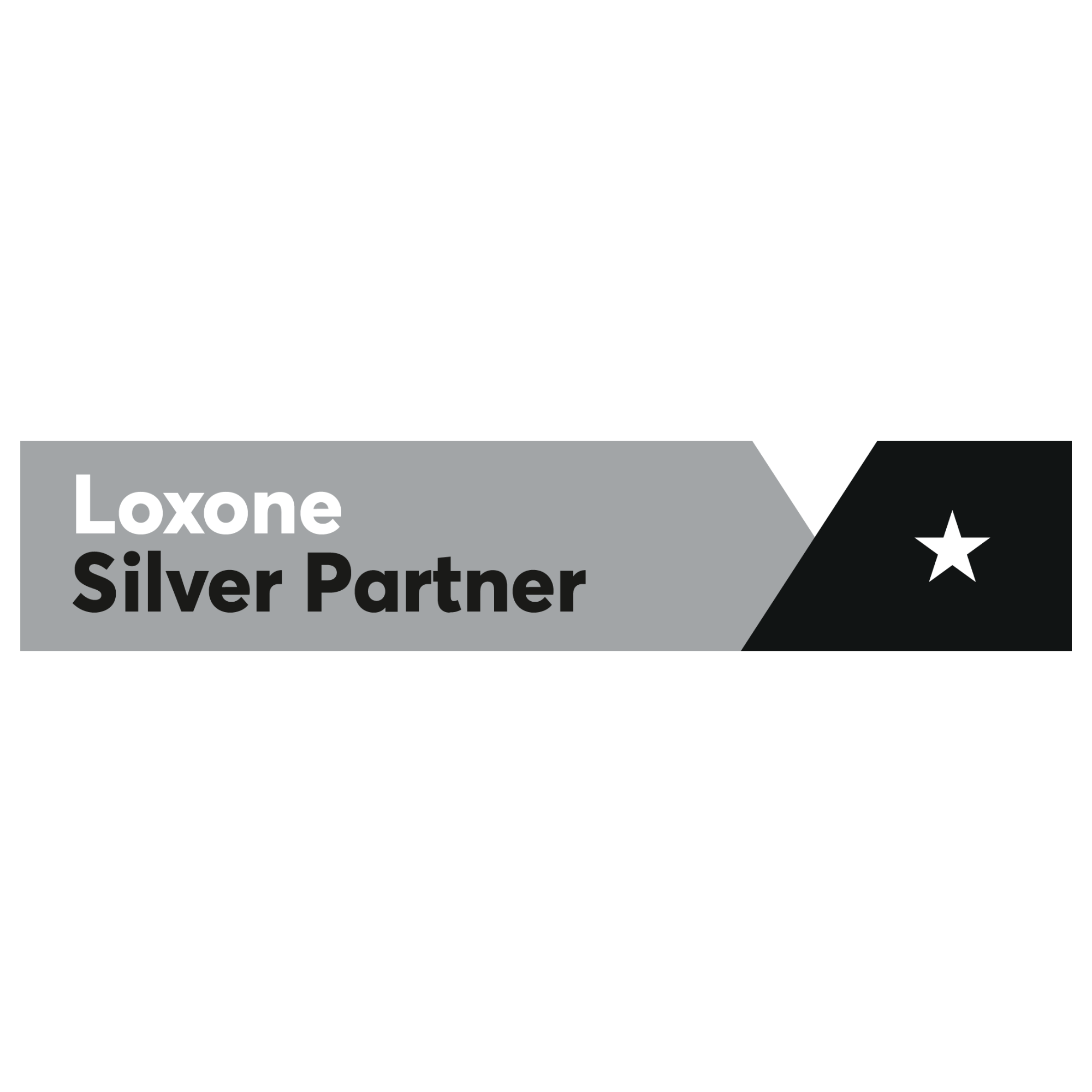I Nostri Partner e Fornitori Certificati loxone silver