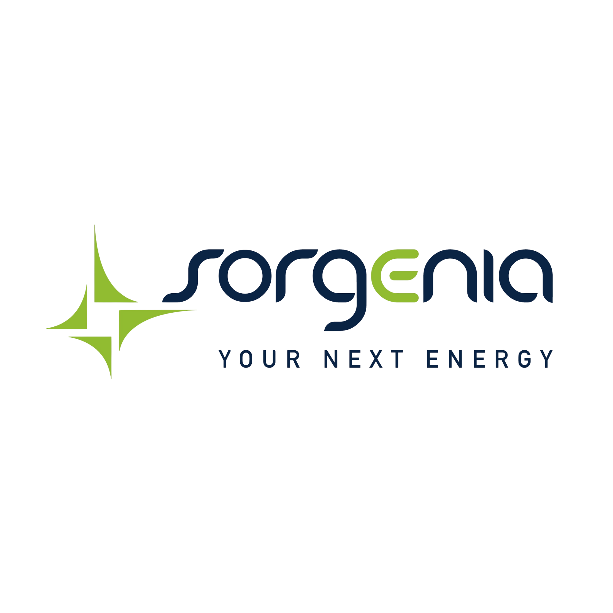 I Nostri Partner e Fornitori Certificati sorgenia